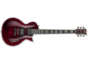 LTD EC-1000 See Thru Black Cherry