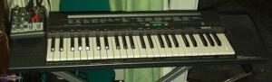 Yamaha PSR-100