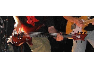 Vigier Passion III 5 Strings