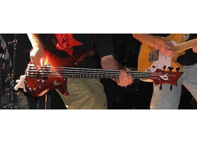 Vigier Passion III 5 Strings