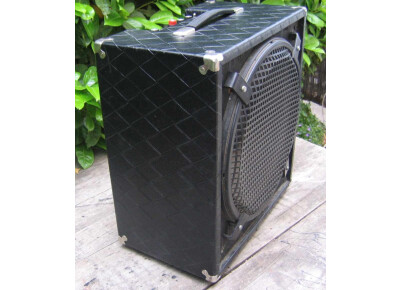 Polytone Mini Brute IV