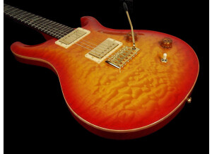 PRS Custom 22 Birds Artist Package