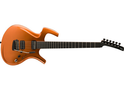 Parker Guitars Adrian Belew Signature Fly