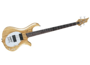 Traben Bass Company Neo limited