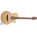 Voir la photo du Takamine EG560C Takamine EG560C
