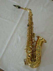 Tim Hendson Sax Alto