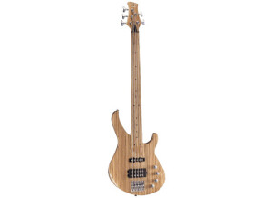 Jack & Danny 2200A Fretless