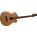 Voir la photo du Parker Guitars P8E Parker Guitars P8E
