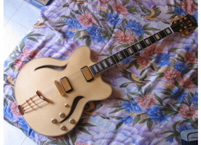 Hofner Guitars Verythin Classic
