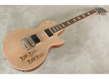 Gibson Les Paul Standard Raw Power