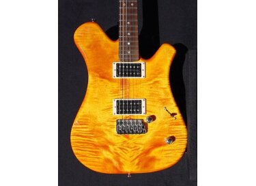 Trayser double wing solid humbucker