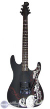 WSL Guitars The Black Bone
