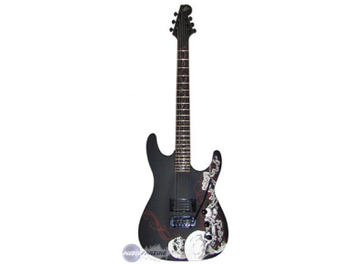 WSL Guitars The Black Bone