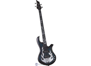 Traben Bass Company Phoenix 5