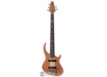 Alembic Rogue
