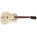 See the photo of the Epiphone MD-100 Epiphone MD-100