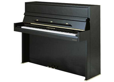 Bechstein Millenium 116