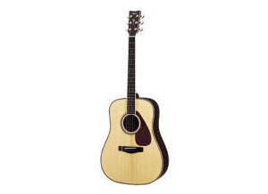 Yamaha DW10