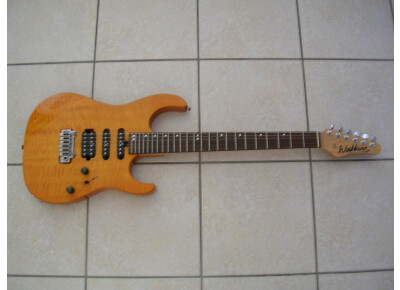 Washburn MG100