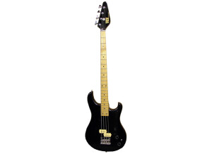 Vox Standard Bass