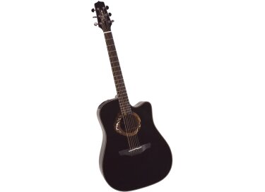 Takamine LTD2007 The Storm