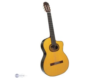 Takamine T30