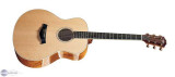 Taylor Gs Maple Spruce