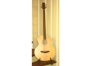 Bee & Billy fretless BB810C/BG