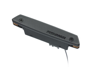 Fishman Rare Earth Magnetic Soundhole Humbucking Pickup