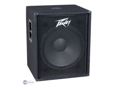 Peavey PV 118