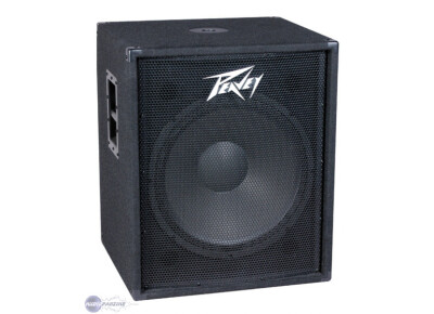 Peavey PV 118