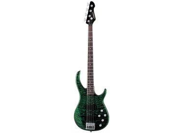 Peavey Fury IV