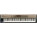 See the photo of the Roland RS-9 Roland RS-9