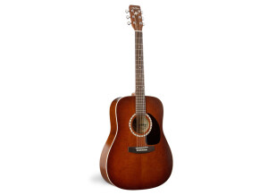 Art & Lutherie Cedar