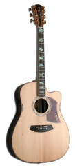 Cole Clark FL3AC Spruce/Maple