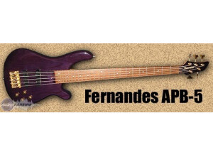 Fernandes APB-5