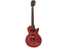 Gibson Les Paul BFG