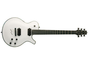 Parker Guitars PM-20Pro