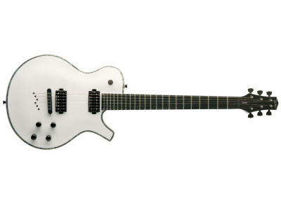 Parker Guitars PM-20Pro