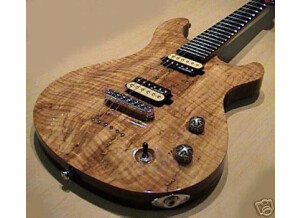 Michael Kelly Guitars Valor Limited