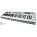See the photo of the M-Audio Radium 49 M-Audio Radium 49