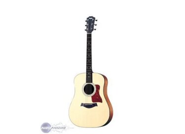 Taylor 100e