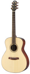 New Walden CG2010 Acoustic