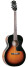 The Loar Small Body LH-200 Acoustic