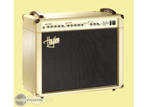 Hayden Peacemaker 40 Combo - Blonde