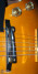 Wendler Instruments MagPi pour Archtop