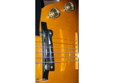 Wendler Instruments MagPi pour Archtop