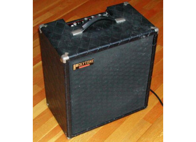 Polytone Mini Brute III