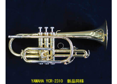 Yamaha YCR-2310