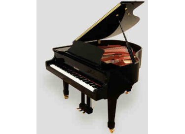 Wendl & Lung Vienne 1/4 1,61m